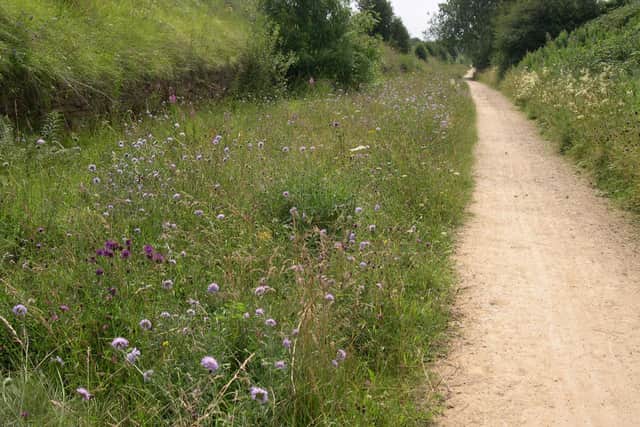 Linby Trail is one of the sites being earmarked to become a local nature reserve under plans from Nottinghamshire County Council