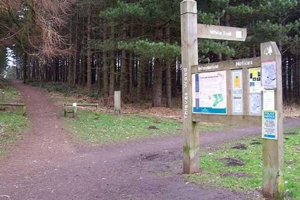 Thieves Wood, managed by Forestry England, is an easily accessible and peaceful woodland located between Mansfield and Ravenshead. Terrain: The trails are generally well-drained and suitable for most conditions, though some trails are unsurfaced and may require appropriate footwear.