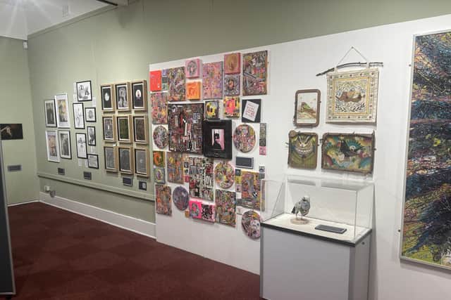 The art work on show Mansfield Museum and Art Gallery.