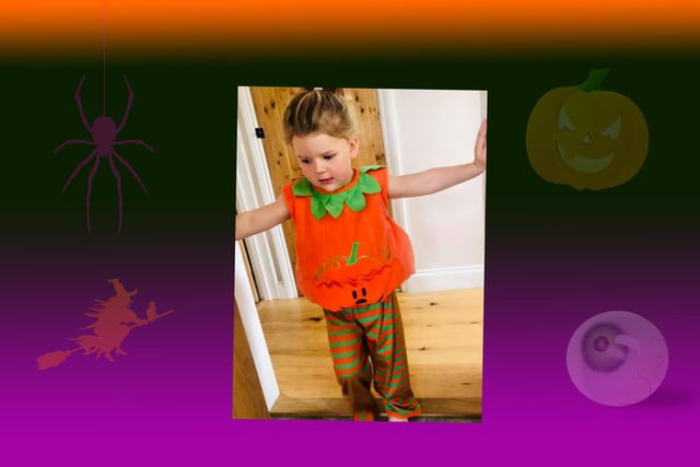 Emmy the pumpkin, age 3.
