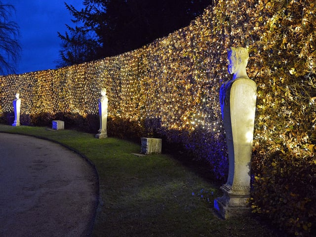 Hedgerows are glowing during the installation.
