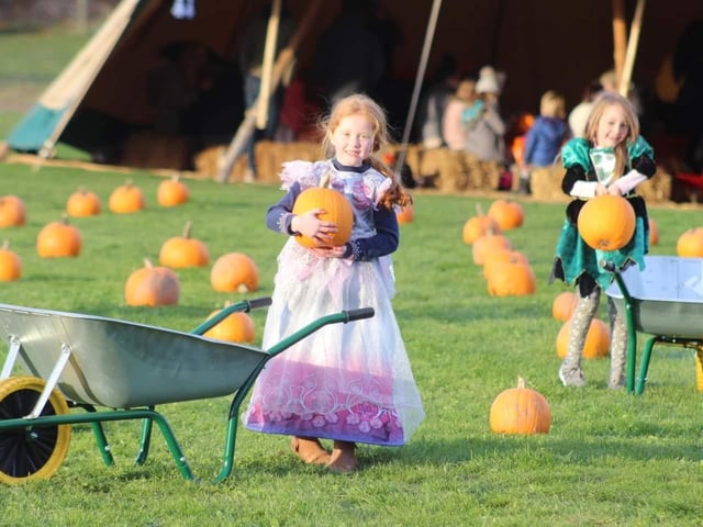 The Halloween attraction at White Post Farm was a huge success.
