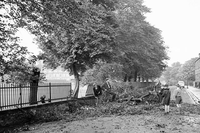 A tree on Warriston Crescent destroyed railings after being blown over in September 1958.