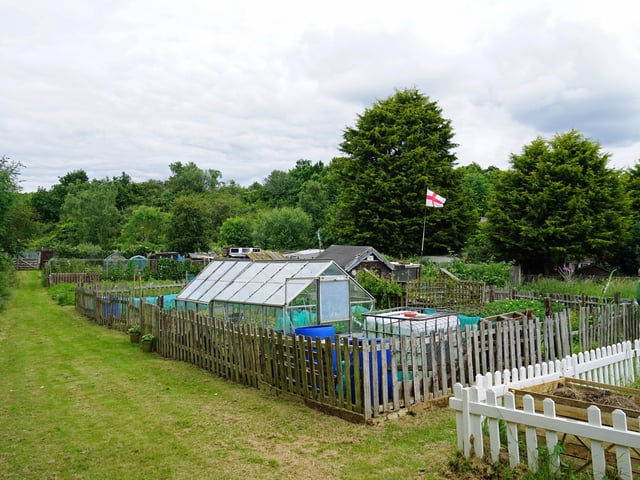 The allotments are situated on a large piece of land that backs onto woodlands.