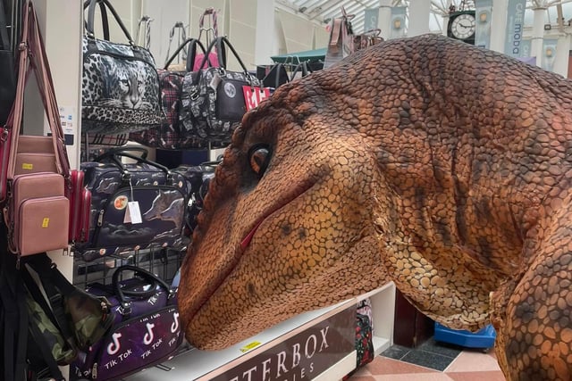 A dino takes a break for a bit of shopping.