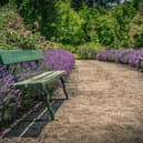 The NHS charity plans to create a therapeutic garden for adults with mental health conditions and employees.