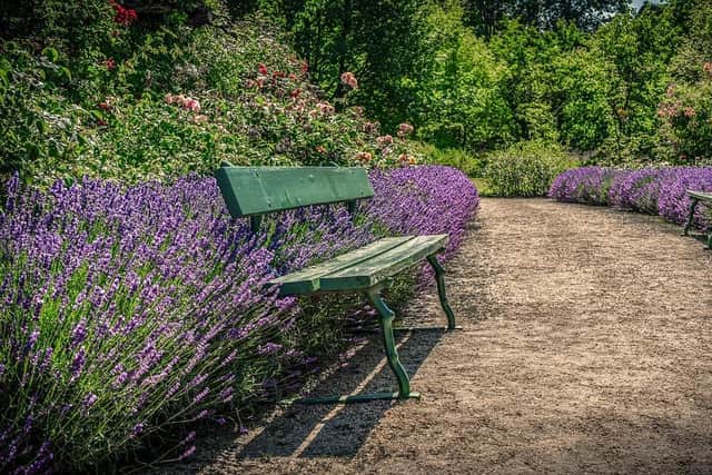 The NHS charity plans to create a therapeutic garden for adults with mental health conditions and employees.