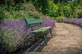 The NHS charity plans to create a therapeutic garden for adults with mental health conditions and employees.