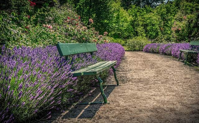 The NHS charity plans to create a therapeutic garden for adults with mental health conditions and employees.