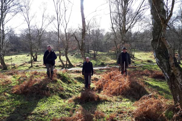 A military bunker pit being investigated in Sherwood Forest