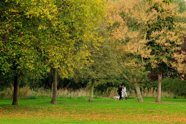 People in Mansfield have the best access to green space in the East Midlands