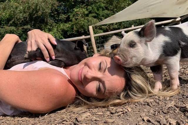 Adults can also benefit from spending time with animals - Animal News Agency
