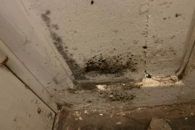 Some of the black mould that Rob says has plagued his flat since he moved in two years ago.