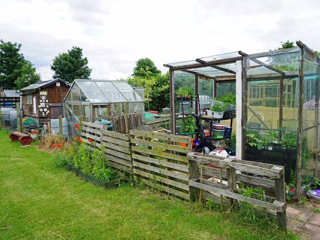 Each plot is unique, with residents growing a variety of produce.