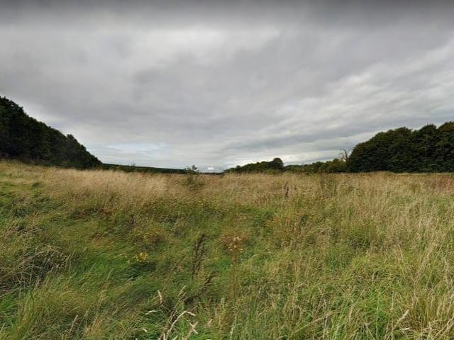 The Shirebrook Wood Walk is a picturesque 4.3 kilometre loop trail located near Mansfield. Perfect for a family walk on a fresh spring day. It has a 4.8 rating on Google reviews.