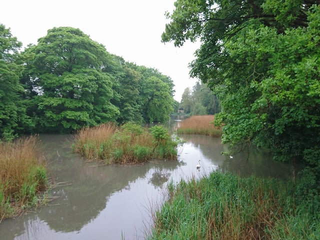 This small nature reserve was once part of the gardens of Hermitage House. It is named after the belief that the Bishop of St David’s used this location as a religious retreat during Tudor times. In 1986, Mrs. Valance donated the site to the council as an open space for the benefit of the people of Mansfield, and it was designated as a Local Nature Reserve in 2004. The Hermitage is also home to the Kings Mill Viaduct, a grade II listed structure dating back to 1817, which was originally used to connect Mansfield to the Pinxton Canal. Today, the viaduct offers a panoramic view of the area and leads to the neighboring Kings Mill Reservoir.