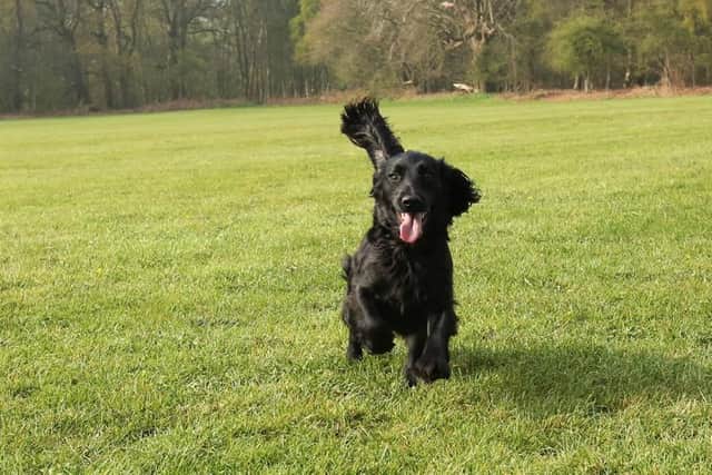 The money was raised through events such as a Christmas Carol concert, the Nottinghamshire Black Police Association Ball and dress down days, as well as a charity calendar featuring the force’s police dogs.