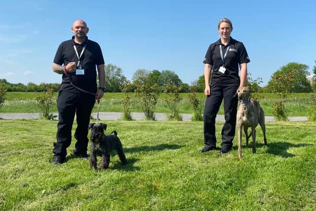 Newark & Sherwood District Council's community protection officers Andrew Weaver and Lauren Astle with Herbie and Scout respectively. Photo: Newark & Sherwood District Council.