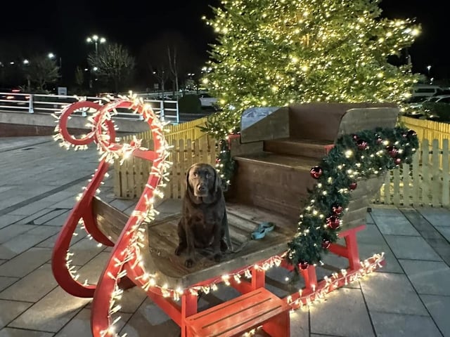 Willow is at the East Midlands Designer Outlet doing some Christmas shopping. Adorable!