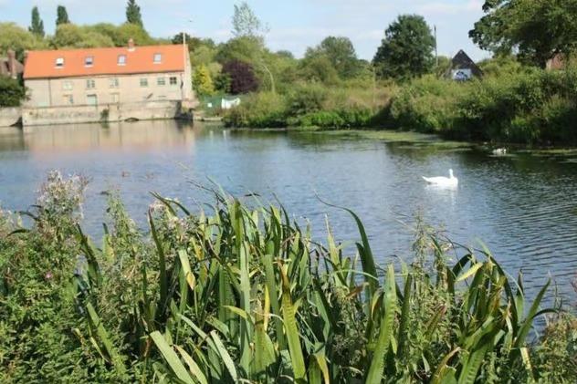 Now the weather is getting better, it's an ideal time to start exploring Mansfield's wonderful range of nature reserves. There are nine in total, including The Carrs in Warsop (pictured), and all have special habitats, such as woodland, heathland, wetland and grassland. They are also home to a variety of wildlife, including bats, birds and insects. Find out more about them on Mansfield District Council's website.