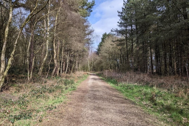Enjoy winding along this family friendly route through the farmlands and trees of Thieves Wood and Harlow Wood where you can spot wildlife or extend your day out with a picnic. Take care on the rougher sections of this trail, especially in wetter weather. Rated: Moderate