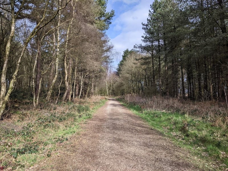 Enjoy winding along this family friendly route through the farmlands and trees of Thieves Wood and Harlow Wood where you can spot wildlife or extend your day out with a picnic. Take care on the rougher sections of this trail, especially in wetter weather. Rated: Moderate