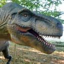 Dinosaurs ranging from tyrannosaurs rex to triceratops and apatosaurus to ankylosaurus all feature at Dino Kingdom at Thoresby Park.
