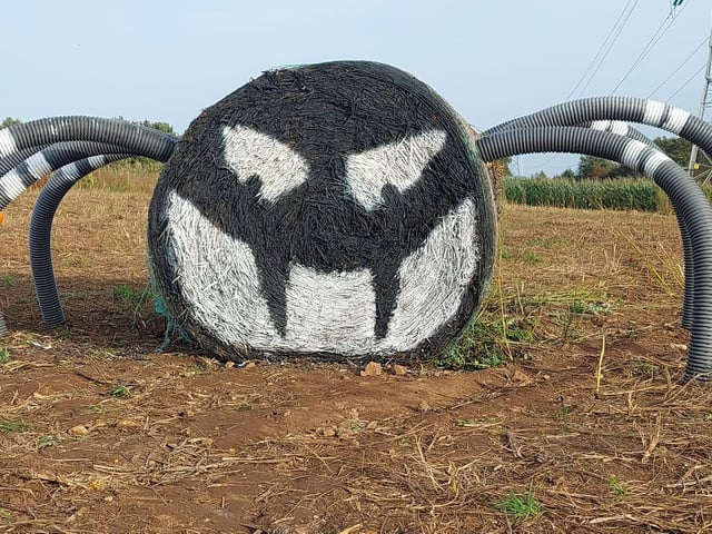 The pumpkin patch has a new edition thanks to good friends of the owners who brought the field to life with this illustrative feature.