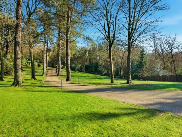 A sweeping, tree-lined driveway winds through manicured lawns and mature planting, creating a true sense of arrival before the house even comes into view.