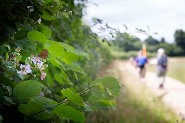 Nottinghamshire Wildlife Trust is asking their members, supporters and the wider public to defend nature