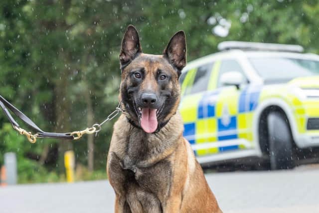 PD Gibbs. Image: Nottinghamshire Police.