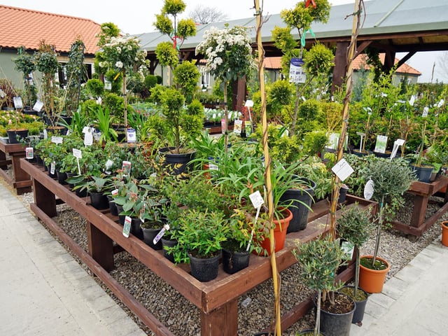 Glapwell Nurseries offers a wide selection of plants, bulbs, seeds, shrubs and much more