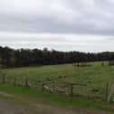 Plans have been submitted to build 33 homes on this area of land in Ravenshead. Photo: Google