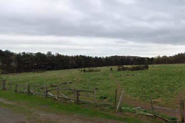 Plans have been submitted to build 33 homes on this area of land in Ravenshead. Photo: Google