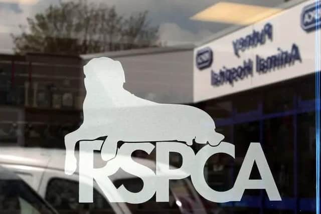 RSPCA figures show there were 203 calls to its helpline for reporting intentional harm to an animal in Nottinghamshire last year.