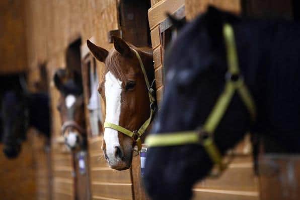 A retrospective planning application has been submitted for two stable blocks, a barn and a manege for horses at a property in Kirkby. (PHOTO BY: Getty Images)