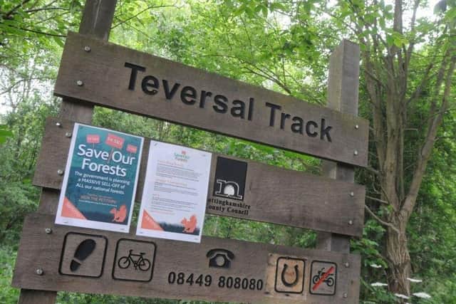 The site would sit next to the Teversal Trail in Ashfield.