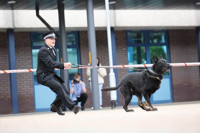 Reno and handler PC Duffy in the public order section of the national dog trials