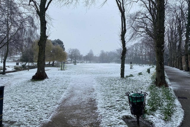 Snow in Mansfield's Titchfield Park
