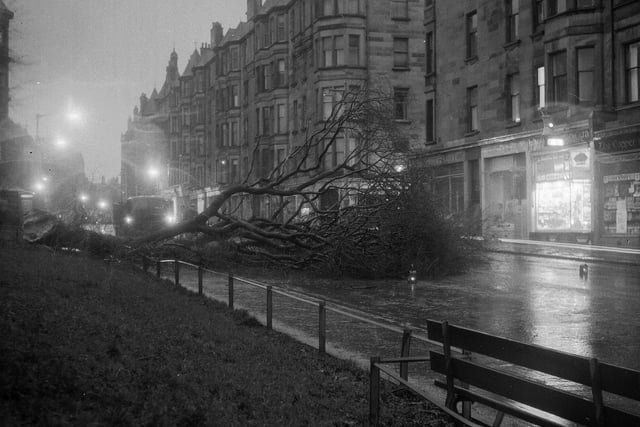 Tree lies across the road in Bruntsfield Place after the storms in December 1962.