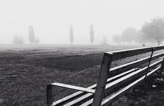 Photographer @damian_jackson_photographer found a park looking eerie with fog.