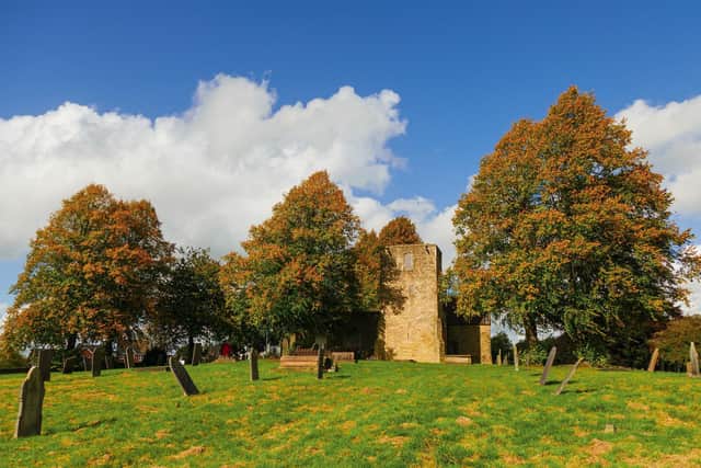 Trees in autumn colour