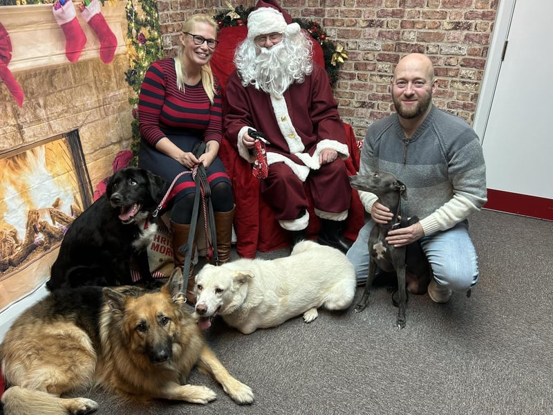 Meet the McRells, the family behind Warsop Doggy Social Club. Here are Cathy and Liam with their dogs.