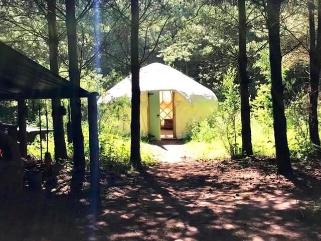 Join the Saturday Bushcraft Club at Sherwood Pines on various dates through the year, starting on Saturday (10 am to 3 pm). Strictly for adults, each session teaches skills such as fire-lighting, foraging and natural crafts in a secluded camp within the forest. After Saturday, the next session is on June 11.
