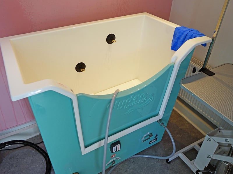 Keeping the dogs 'squeaky' clean.