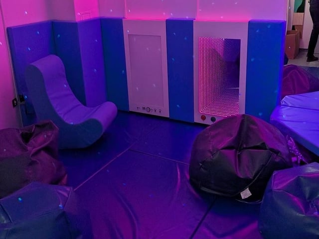Sensory area