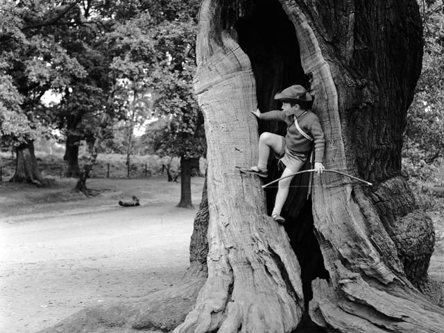 Mansfield boasts a rich history, featuring historic architecture, mysterious rock houses from centuries past, and its famous ties to Sherwood Forest and the Major Oak, where the legend of Robin Hood lives.