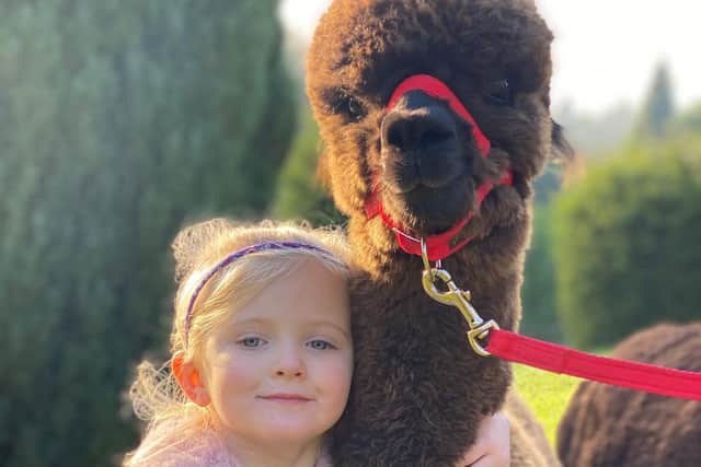 Myla Croshaw, four, with Enzo at Woodville Farm.