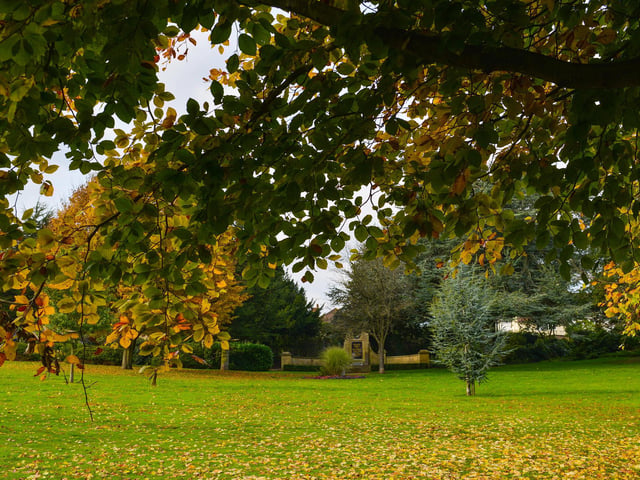 Autumnal Mansfield