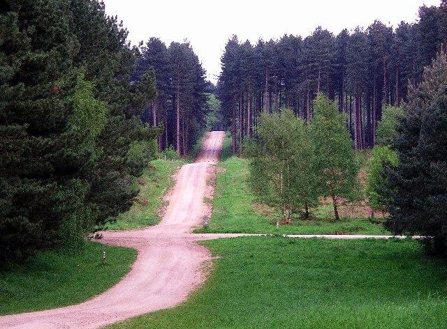 This is the Robin Hood Adventure Cycle Trail, a blue-graded route that is ideal for the intermediate cycler and those with little off-road experience and is family-friendly. The trail starts from the Sherwood Pines Forest Car Park. Rated: Easy